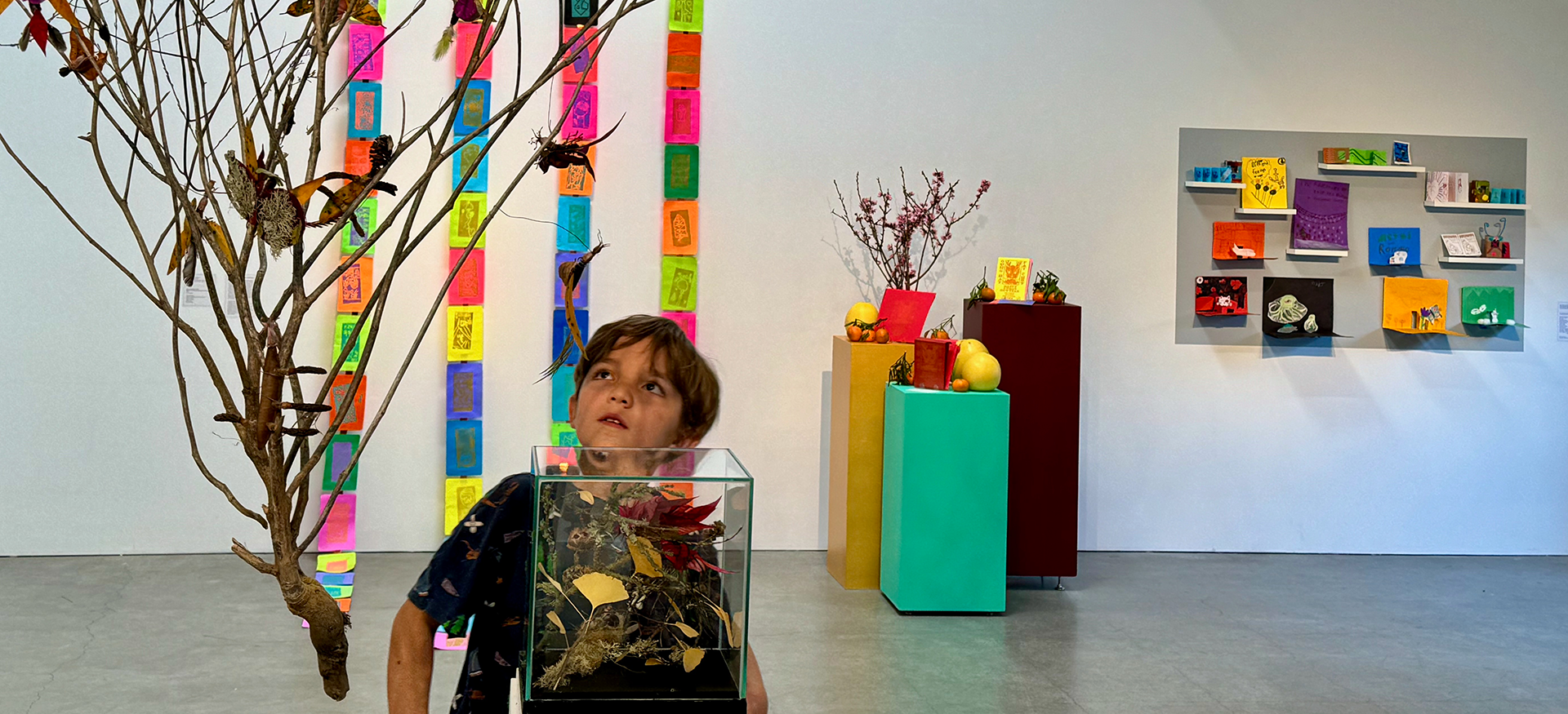 Boy in an art gallery